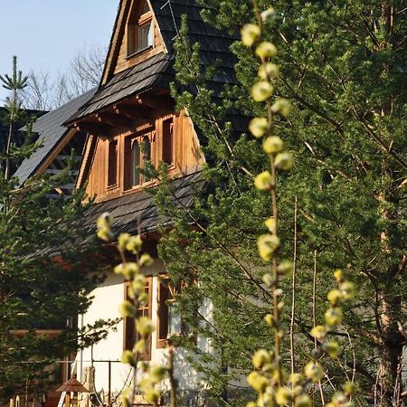 Gontyna Apartman Zakopane Kültér fotó