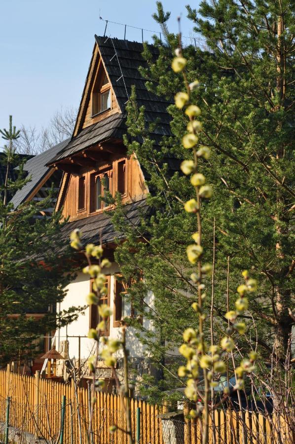 Gontyna Apartman Zakopane Kültér fotó